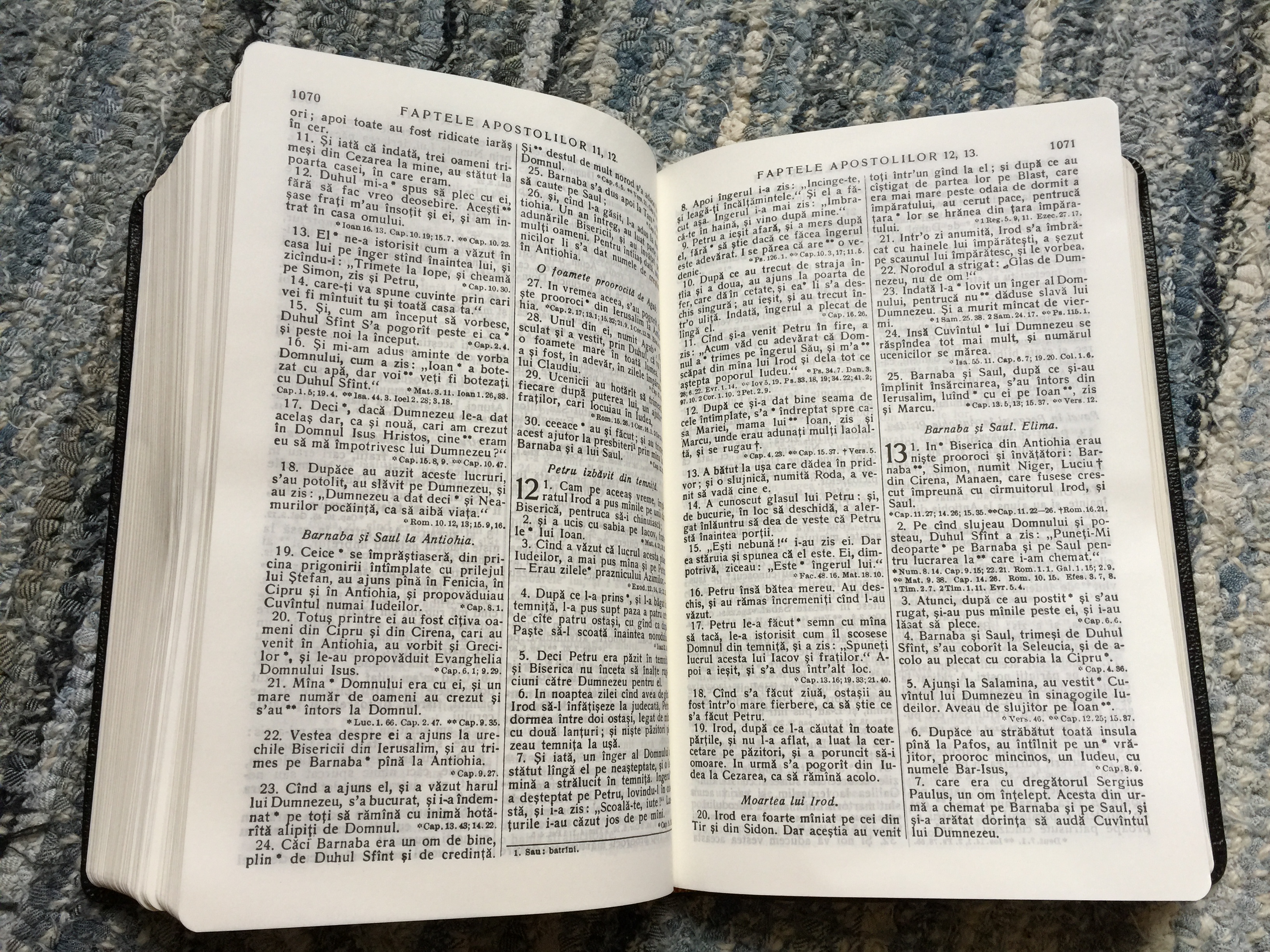Biblia cu Explicatii Genuine leather Romanian Study Bible (Cornilescu) 1